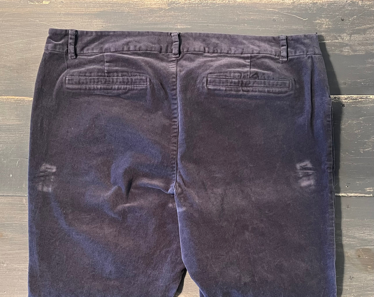 Faux velvet side panel 26" straight leg pant, Slate