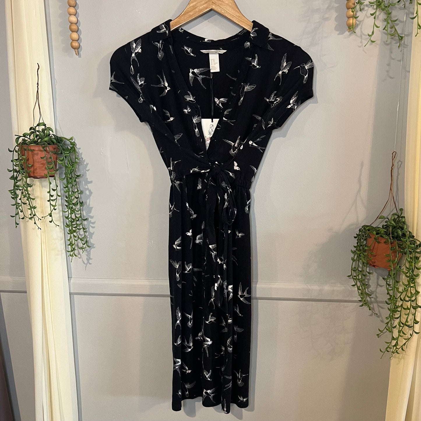 Collared faux button belted SS mini dress, Black dragonflies