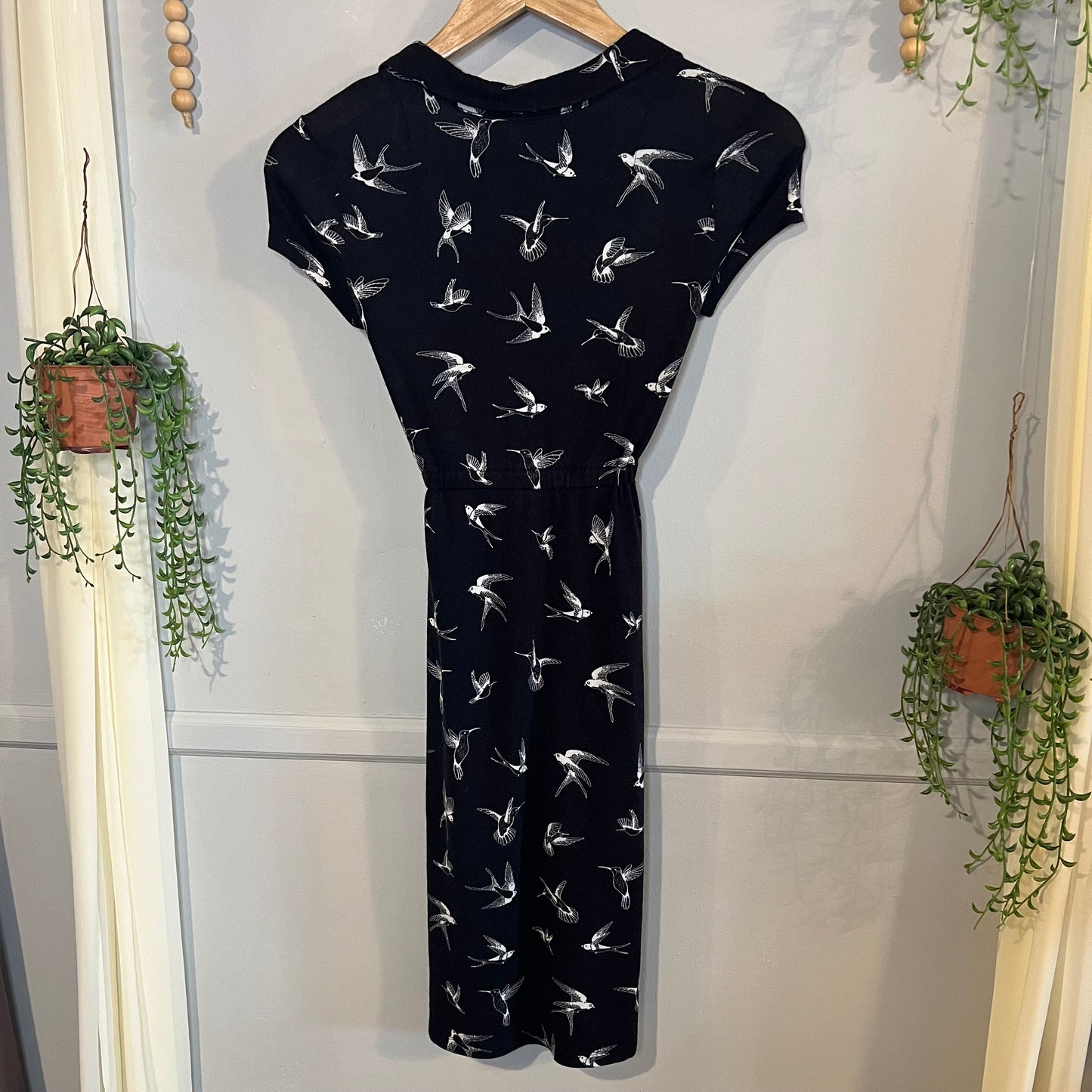 Collared faux button belted SS mini dress, Black dragonflies