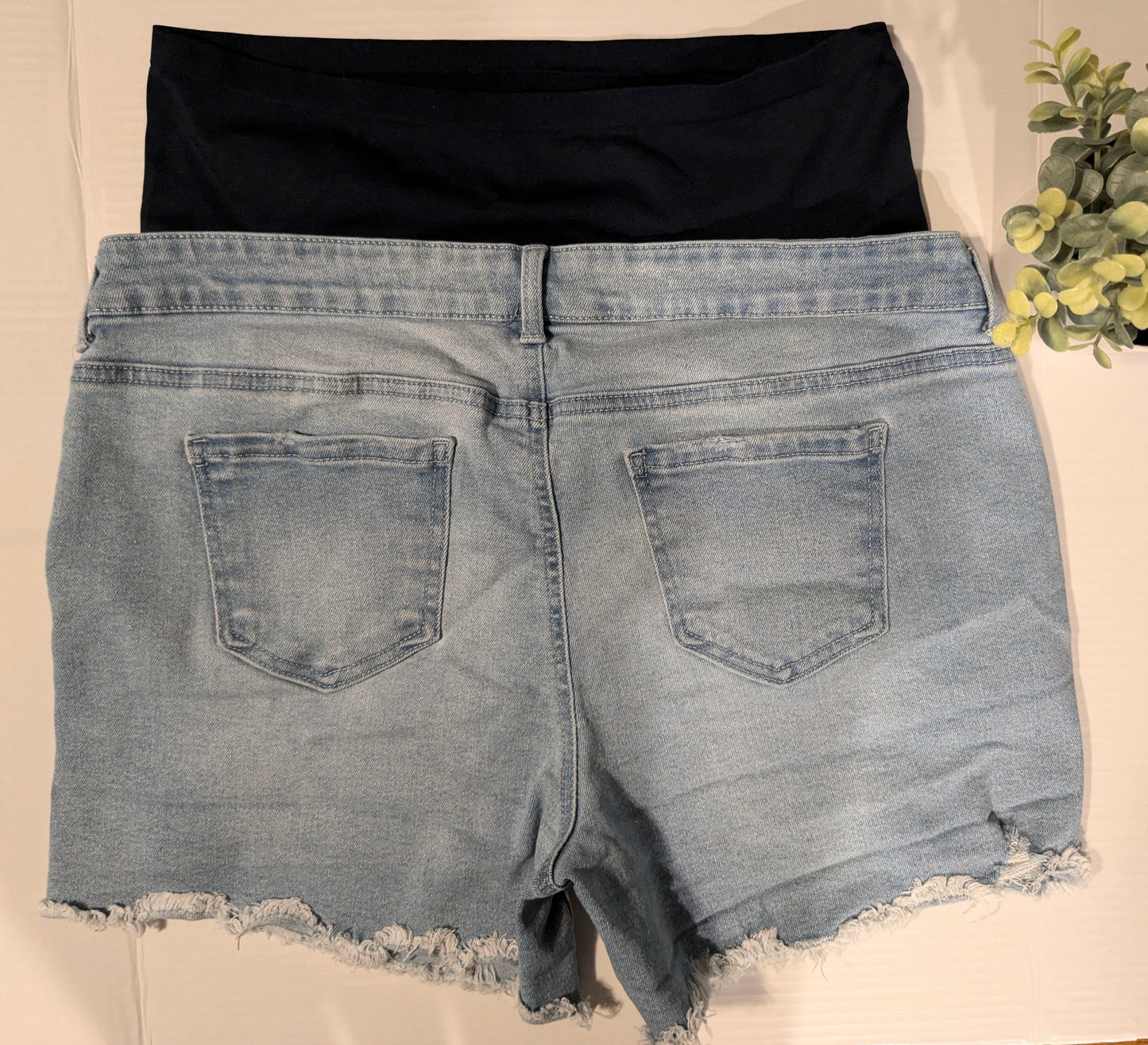True full panel 4" distressed fringe hem denim shorts w/pockets, Light wash